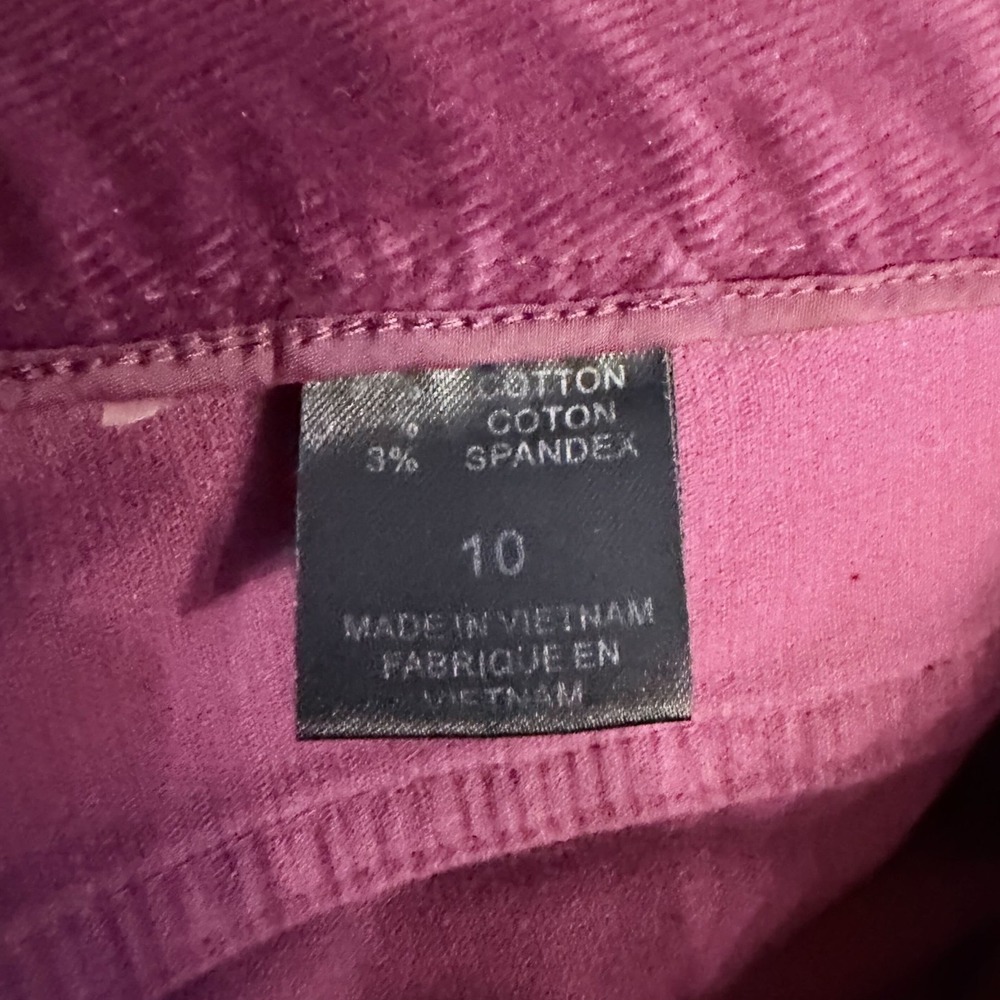Gianni Bini Pinwale Corduroy Bootcut Flare Pants Burgundy 10 70s Vamp Romantic - Picture 7 of 7